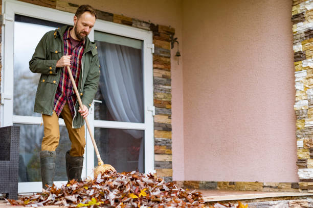 Best Electronics Removal Services  in Beech Island, SC